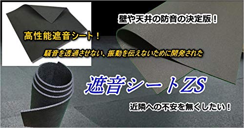 Amazon.co.jp: 高性能防音シートの決定版！遮音シートZS【厚さ3mm